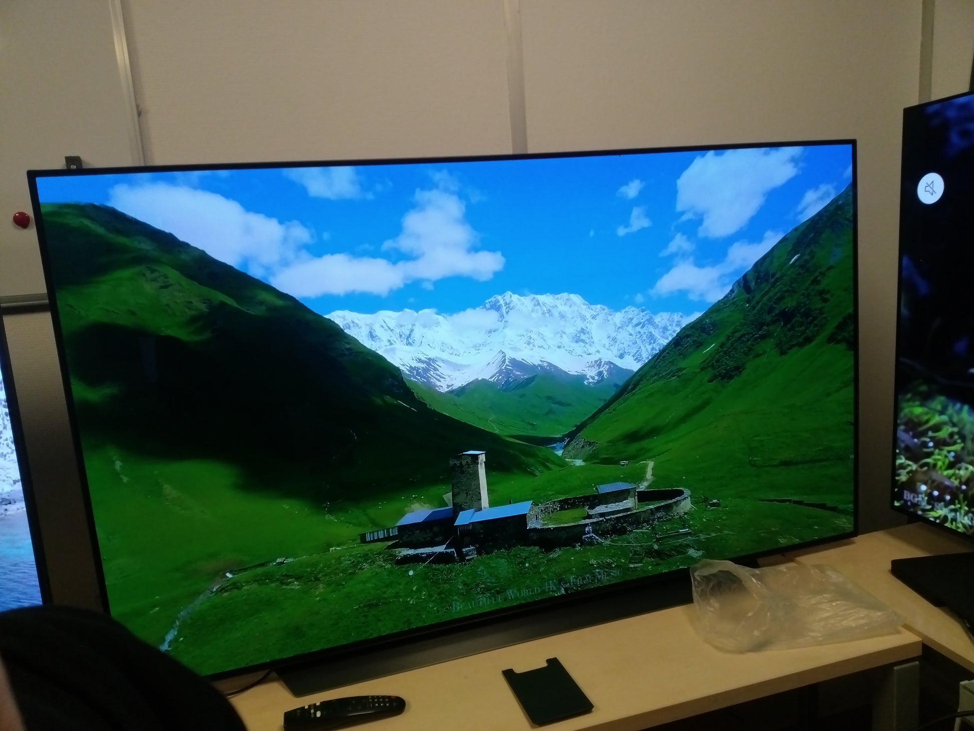 Téléviseur OLED 65 pouces Reconditionné LG OLED65CX6 164 cm (65")