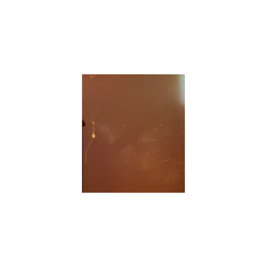 Téléviseur OLED 77 pouces Reconditionné LG OLED77G2