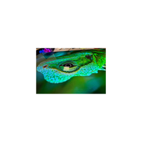 Téléviseur OLED 77 pouces Reconditionné LG OLED77G2