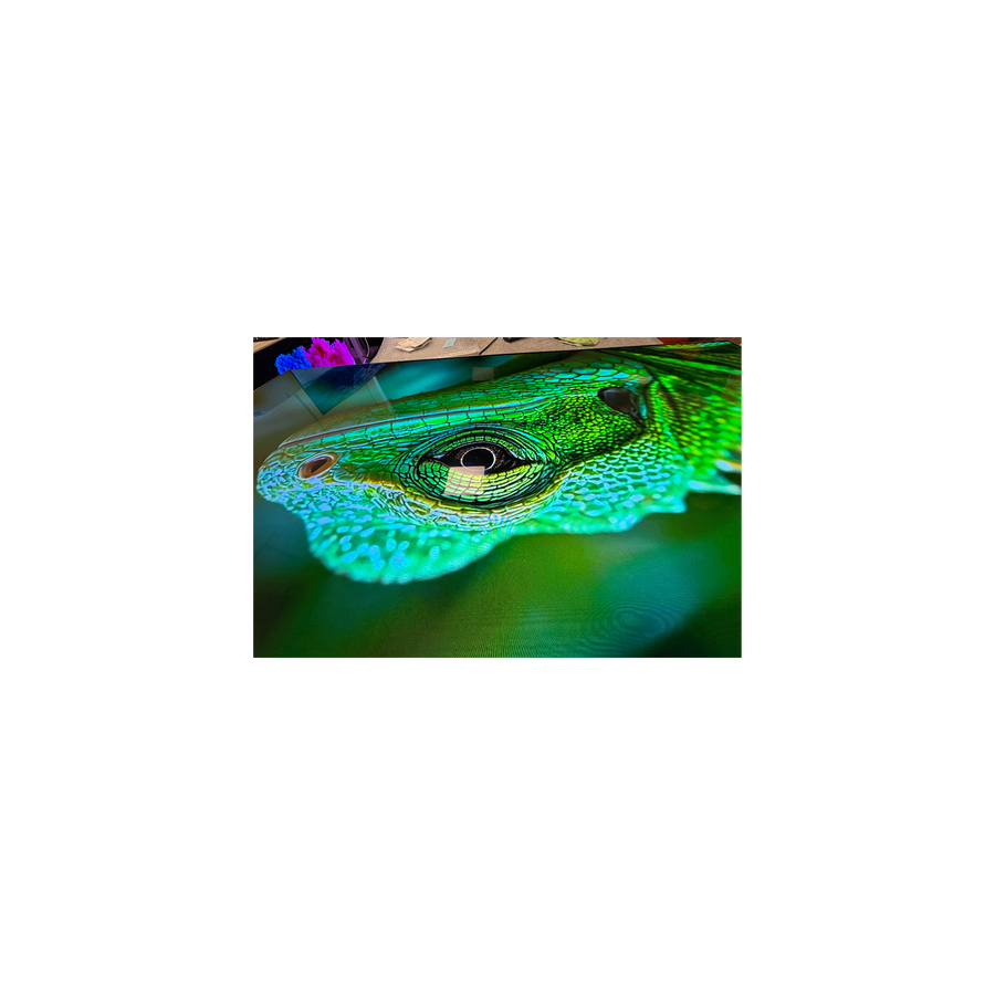 Téléviseur OLED 77 pouces Reconditionné LG OLED77G2