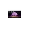 Téléviseur OLED 55 pouces Reconditionné LG OLED55C1 139 cm (55")