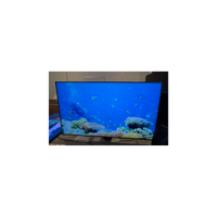 Téléviseur LED Reconditionné SAMSUNG QE55QN85BATXXN 138 cm (54")