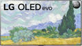 Téléviseur OLED 65 pouces Reconditionné LG OLED65G1