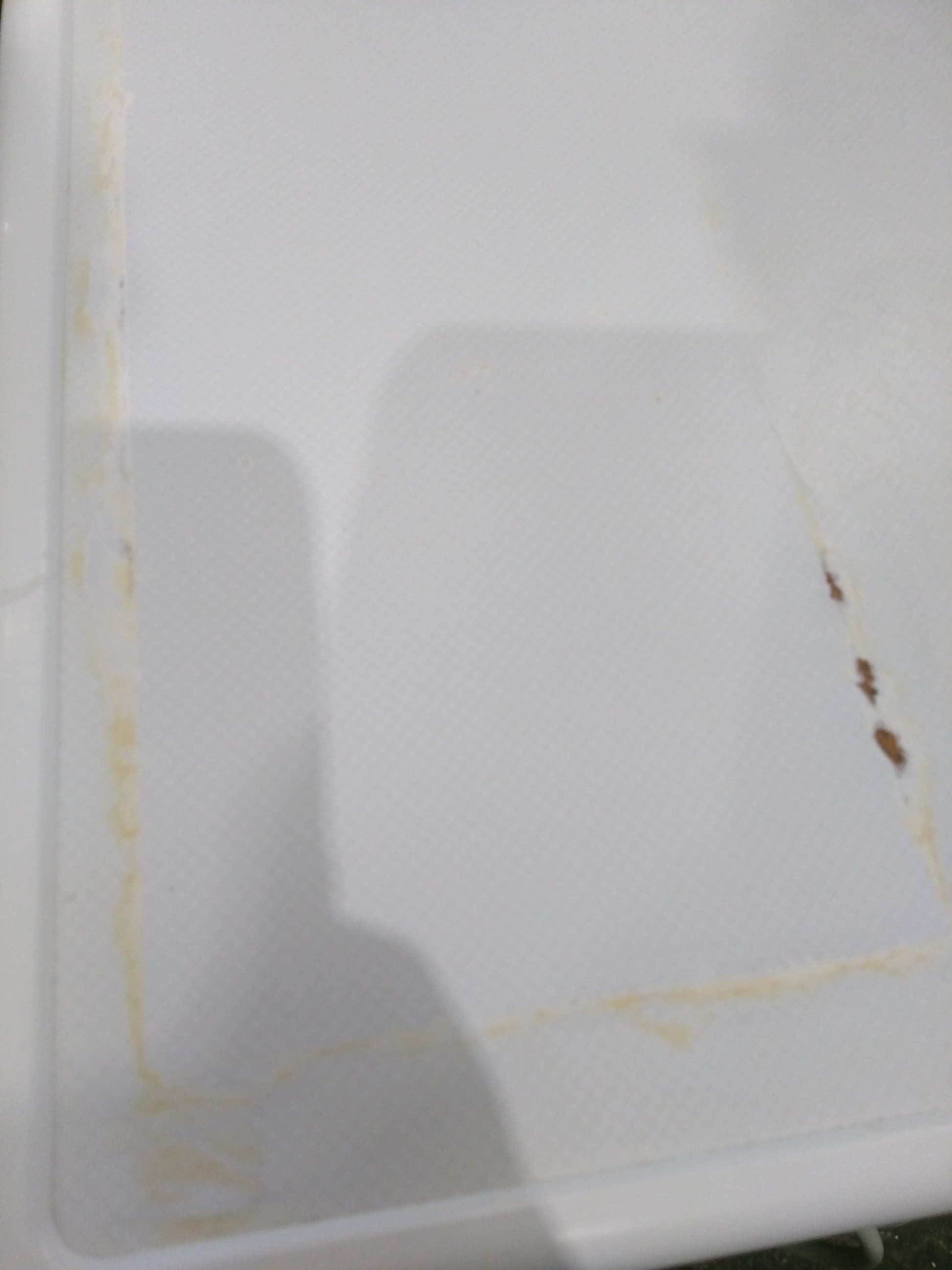 Lave-linge Hublot 8 kg Reconditionné MIELE W 5872