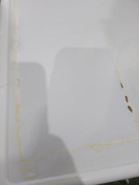 Lave-linge Hublot 8 kg Reconditionné MIELE W 5872