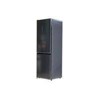 Réfrigérateur Avec Congélateur 304 L Reconditionné HISENSE FCN300CCD1