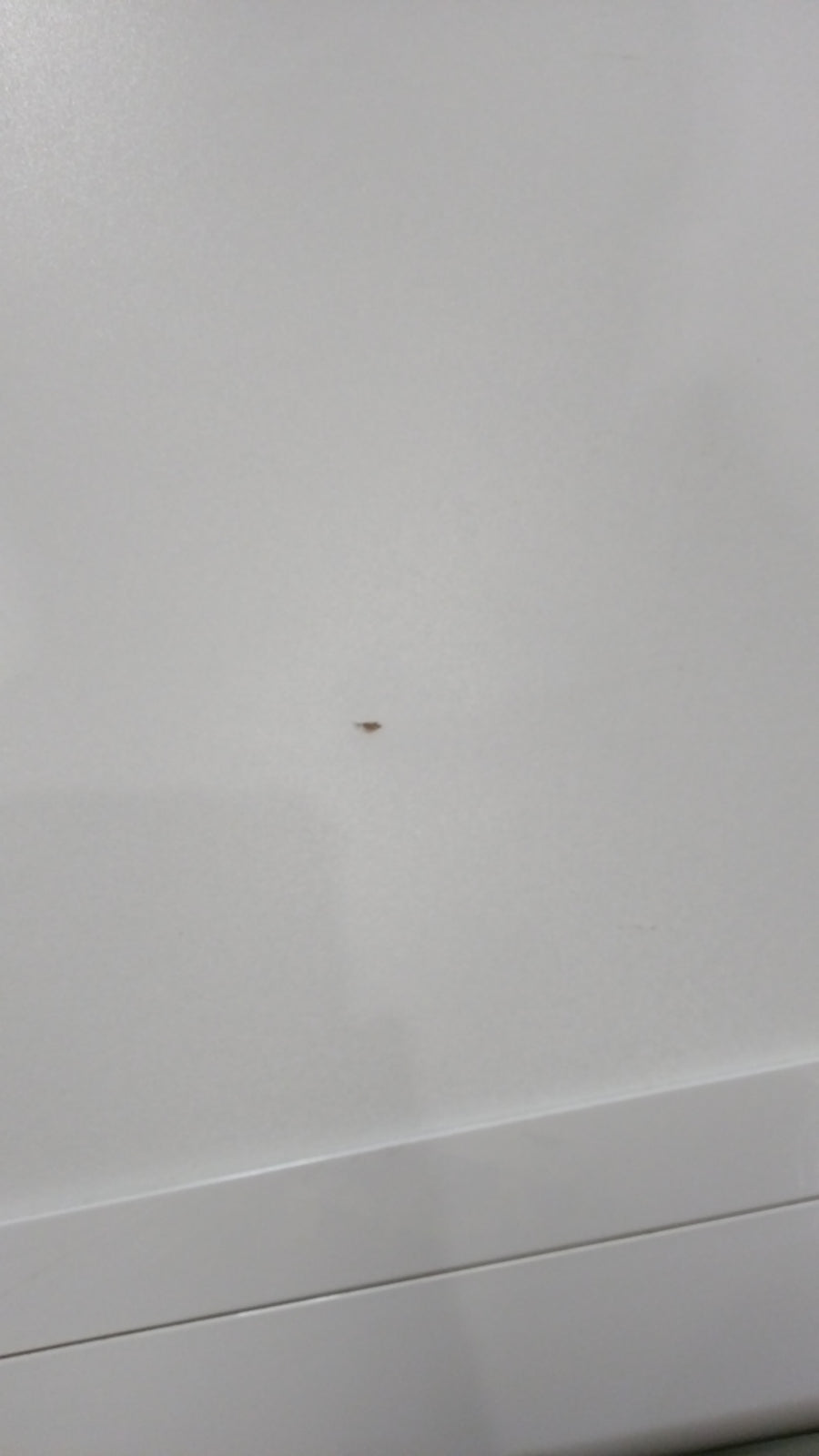 Lave-linge Hublot 9 kg Reconditionné SIEMENS WM14T480FF