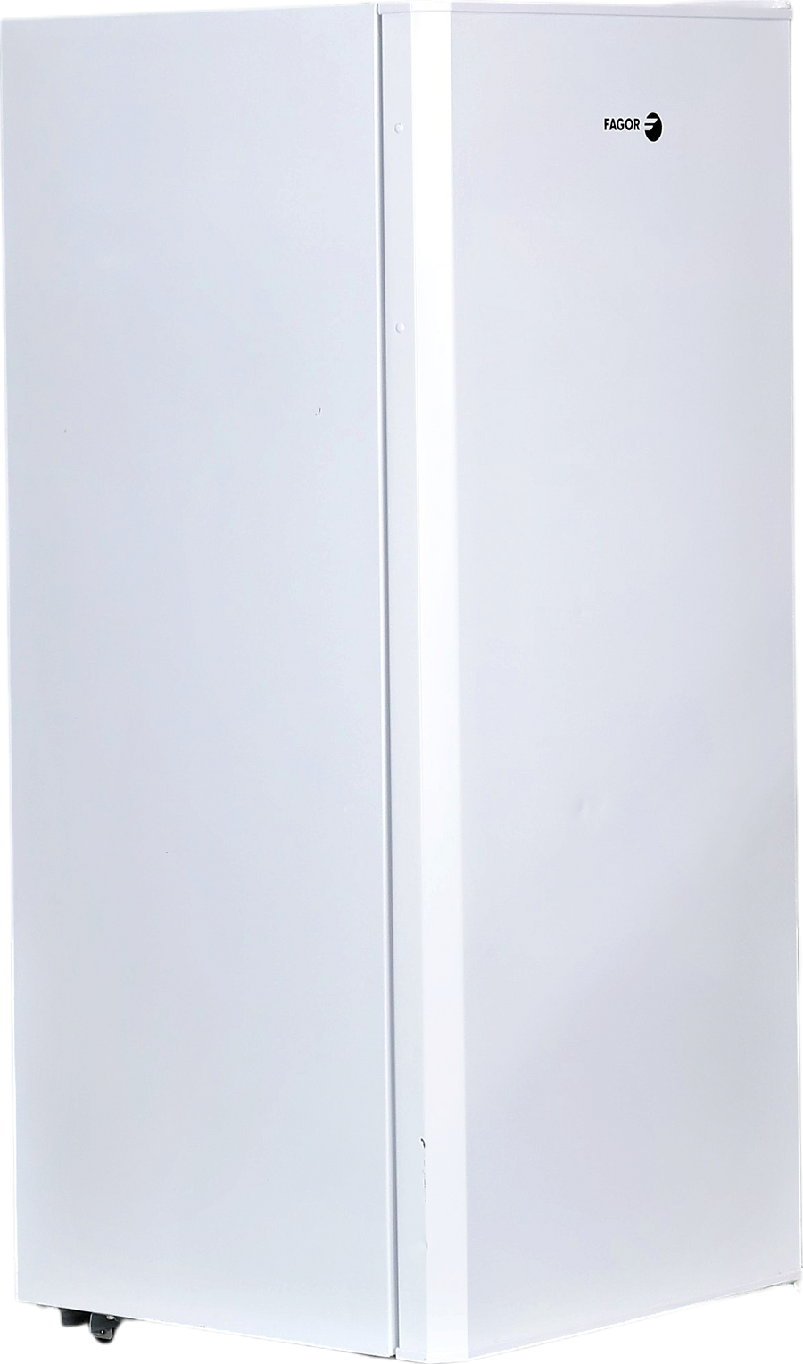 Réfrigérateur Avec Congélateur 164 L Reconditionné FAGOR FSP170EW