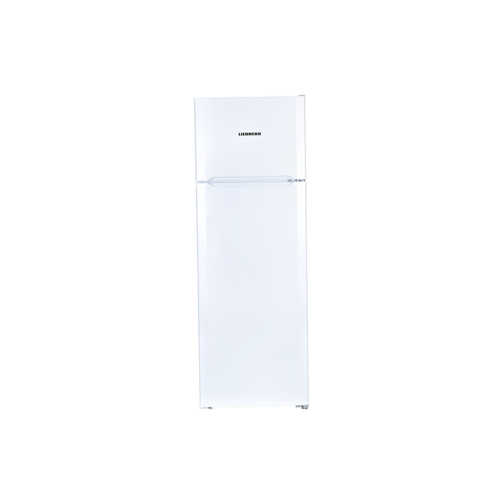 Réfrigérateur Avec Congélateur 271 L Reconditionné LIEBHERR CTP251-21