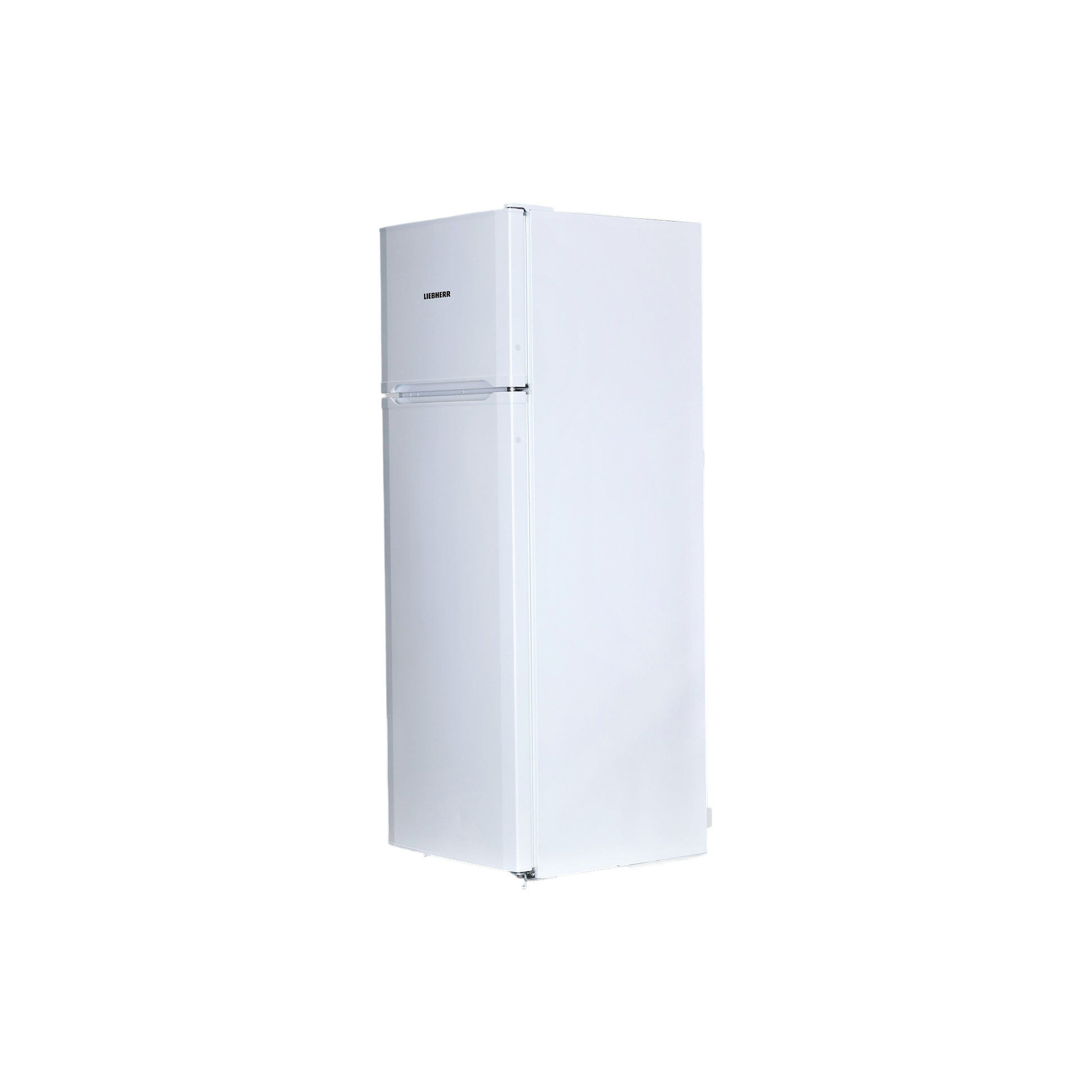 Réfrigérateur Avec Congélateur Reconditionné LIEBHERR CTPe251-26