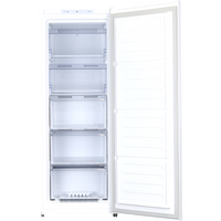 Congélateur Armoire Reconditionné BEKO RFNM200E40SN