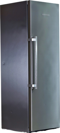 Réfrigérateur Une Porte 372 L Reconditionné LIEBHERR SKBES4380