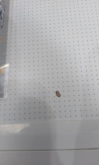 Lave-linge Hublot 10 kg Reconditionné LG F14952WHS