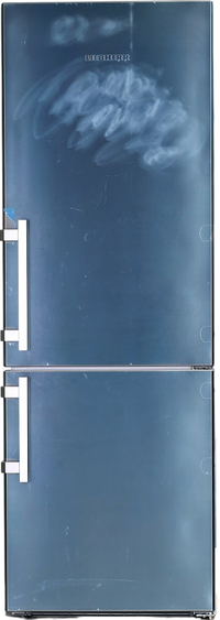 Réfrigérateur Avec Congélateur 393 L Reconditionné LIEBHERR CBNef5735-21