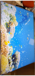 Téléviseur LED 64 pouces Reconditionné TCL 65C89K 164 cm (65")