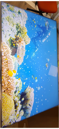 Téléviseur LED 64 pouces Reconditionné TCL 65C89K 164 cm (65")