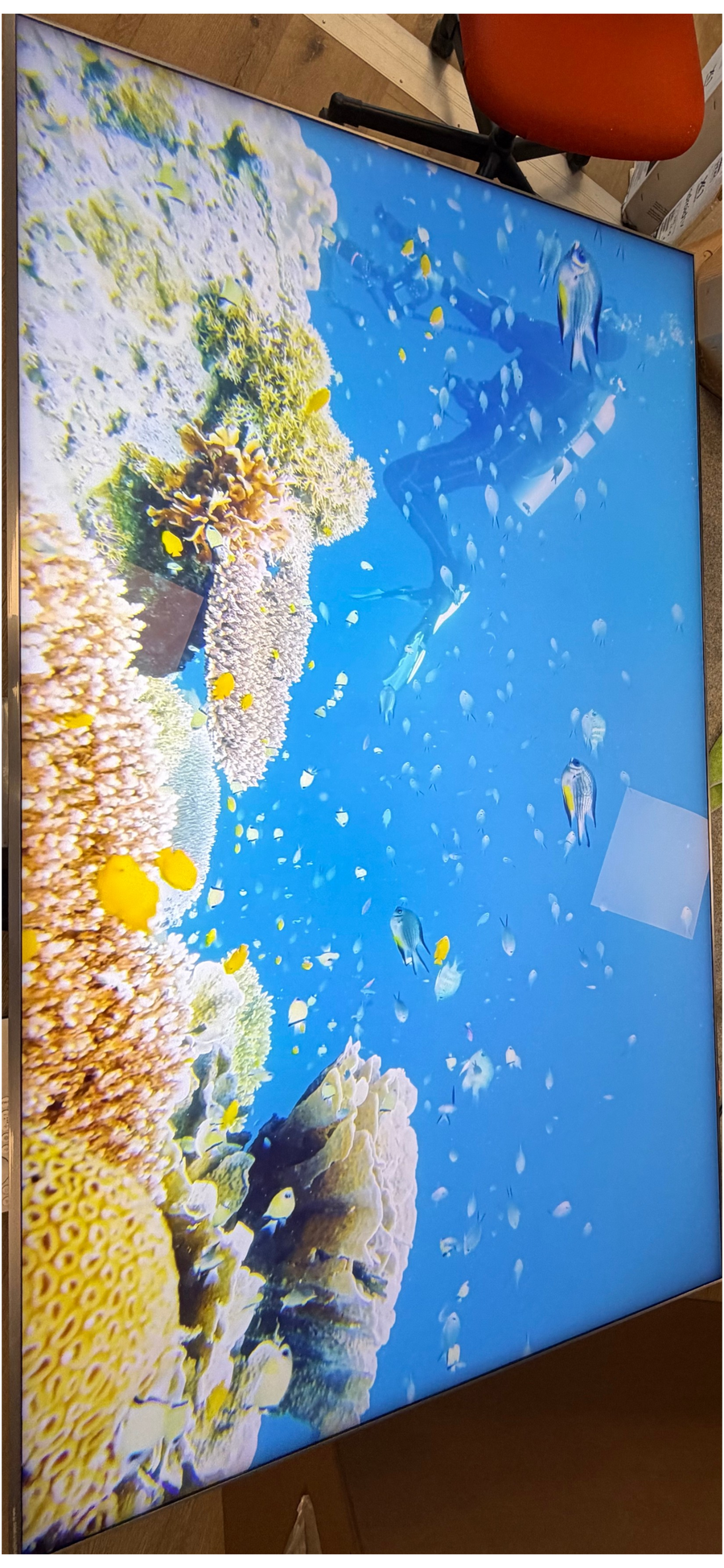 Téléviseur LED 64 pouces Reconditionné TCL 65C89K 164 cm (65")
