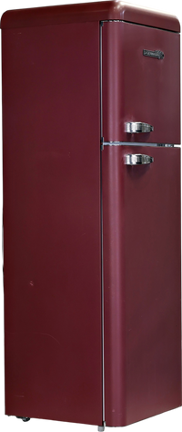 Réfrigérateur Avec Congélateur 298 L Reconditionné LA GERMANIA DPV300VI