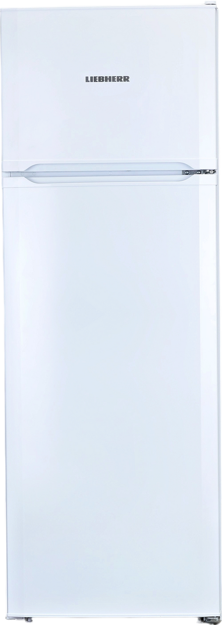 Réfrigérateur Avec Congélateur 268 L Reconditionné LIEBHERR GKP 410
