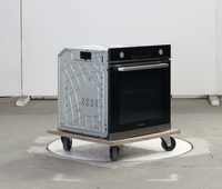 Four Chaleur Tournante 72 L Reconditionné THOMSON TMFP72BX