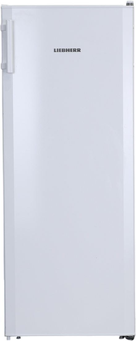 Réfrigérateur Avec Congélateur 251 L Reconditionné LIEBHERR GKP 310