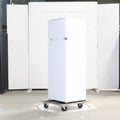 Réfrigérateur Encastrable 249 Litres Reconditionné SMEG D4152E