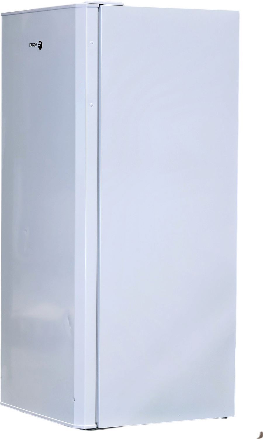 Réfrigérateur Avec Congélateur 164 L Reconditionné FAGOR FSP170EW