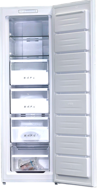 Congélateur Armoire Reconditionné THOMSON THFZ206NFWH
