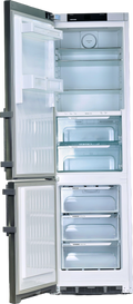Réfrigérateur Avec Congélateur 343 Litres Reconditionné LIEBHERR CBNef 4815