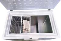 Congélateur Coffre Reconditionné WHIRLPOOL W3RHS19CW