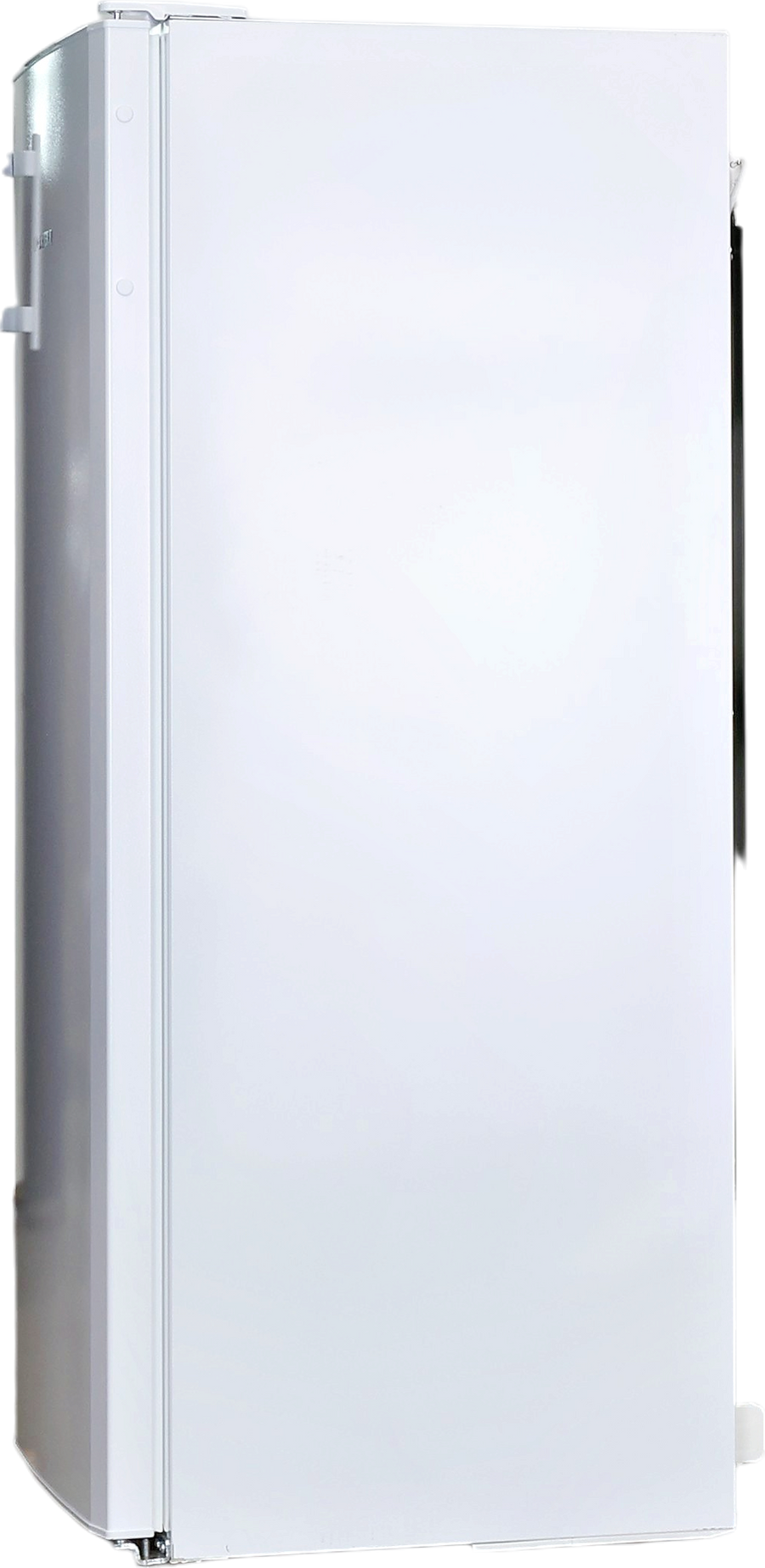 Réfrigérateur Avec Congélateur 251 Litres Reconditionné LIEBHERR KPe290-26