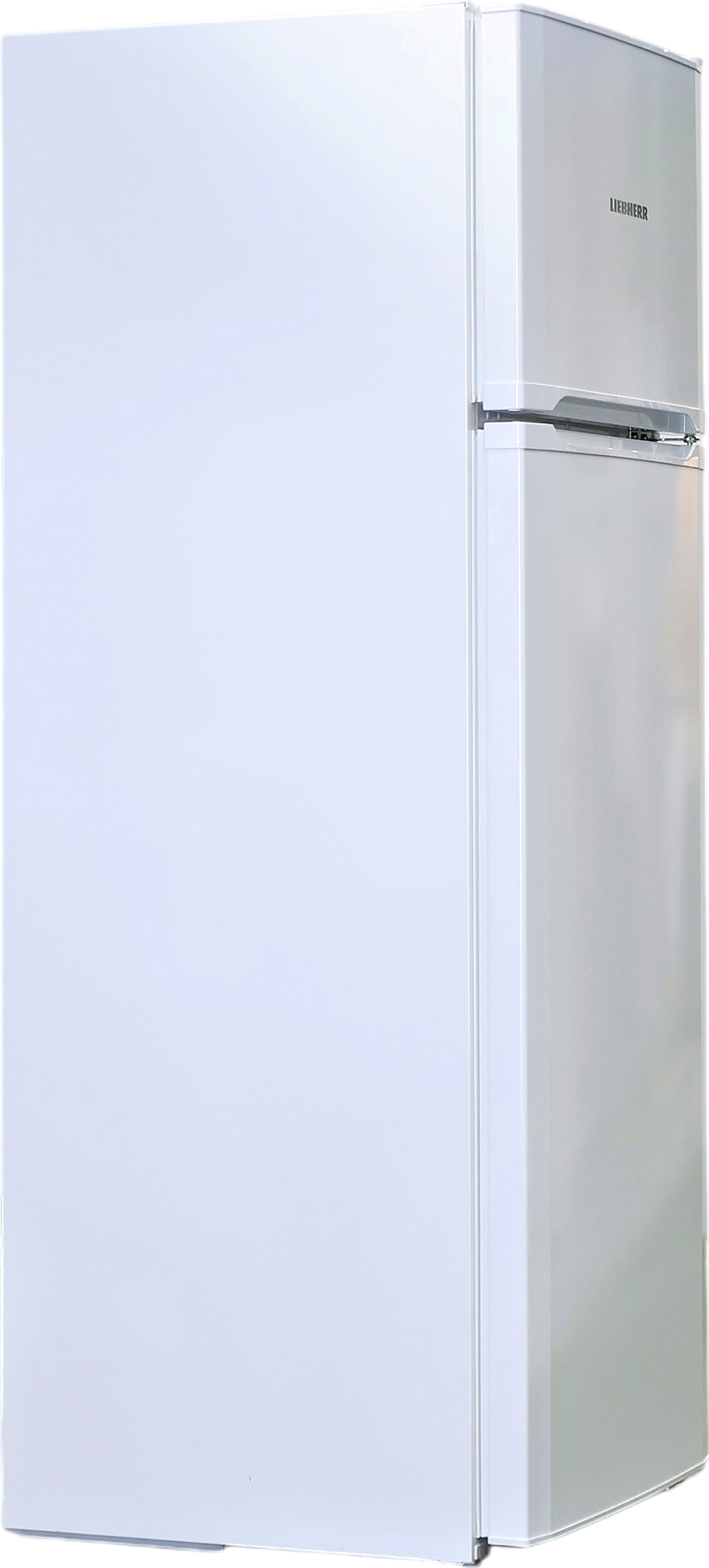 Réfrigérateur Avec Congélateur 219 Litres Reconditionné LIEBHERR GKP415-21