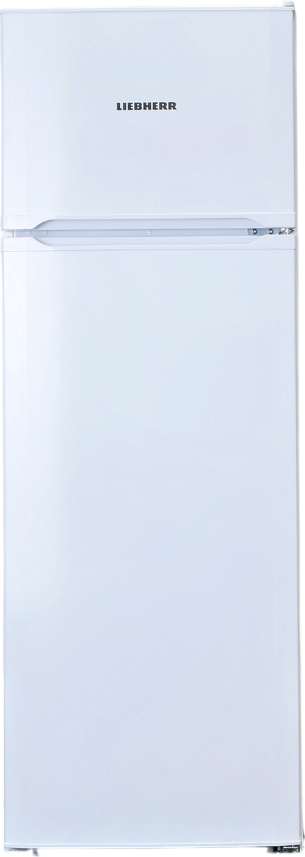 Réfrigérateur Avec Congélateur 219 Litres Reconditionné LIEBHERR GKP415-21