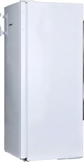 Réfrigérateur Avec Congélateur 230 Litres Reconditionné LIEBHERR KP290