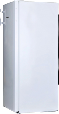 Réfrigérateur Avec Congélateur 230 Litres Reconditionné LIEBHERR KP290
