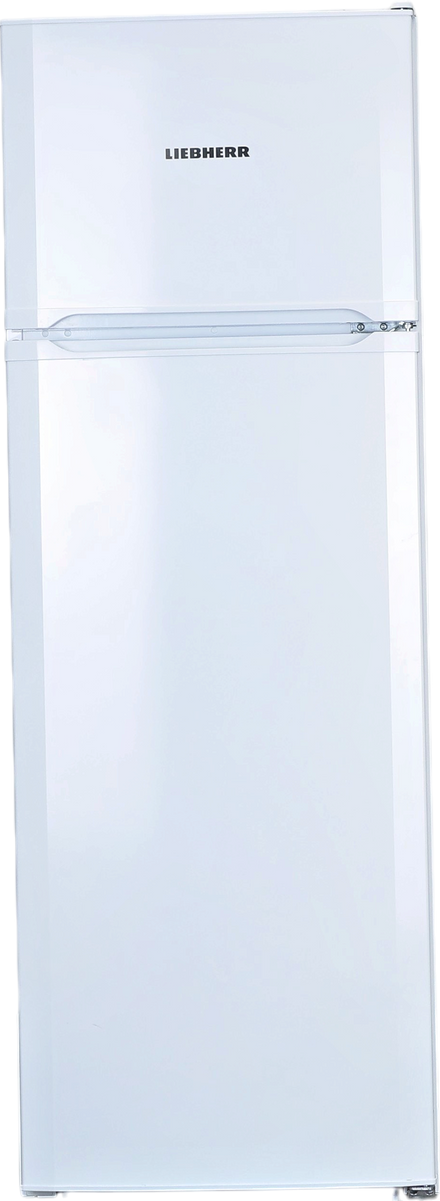 Réfrigérateur Avec Congélateur 271 Litres Reconditionné LIEBHERR CTPe251-26