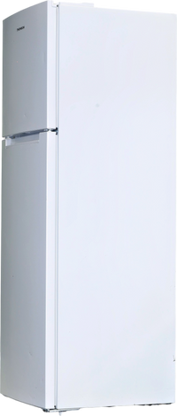 Réfrigérateur Avec Congélateur 248 Litres Reconditionné THOMSON THD253NFWH