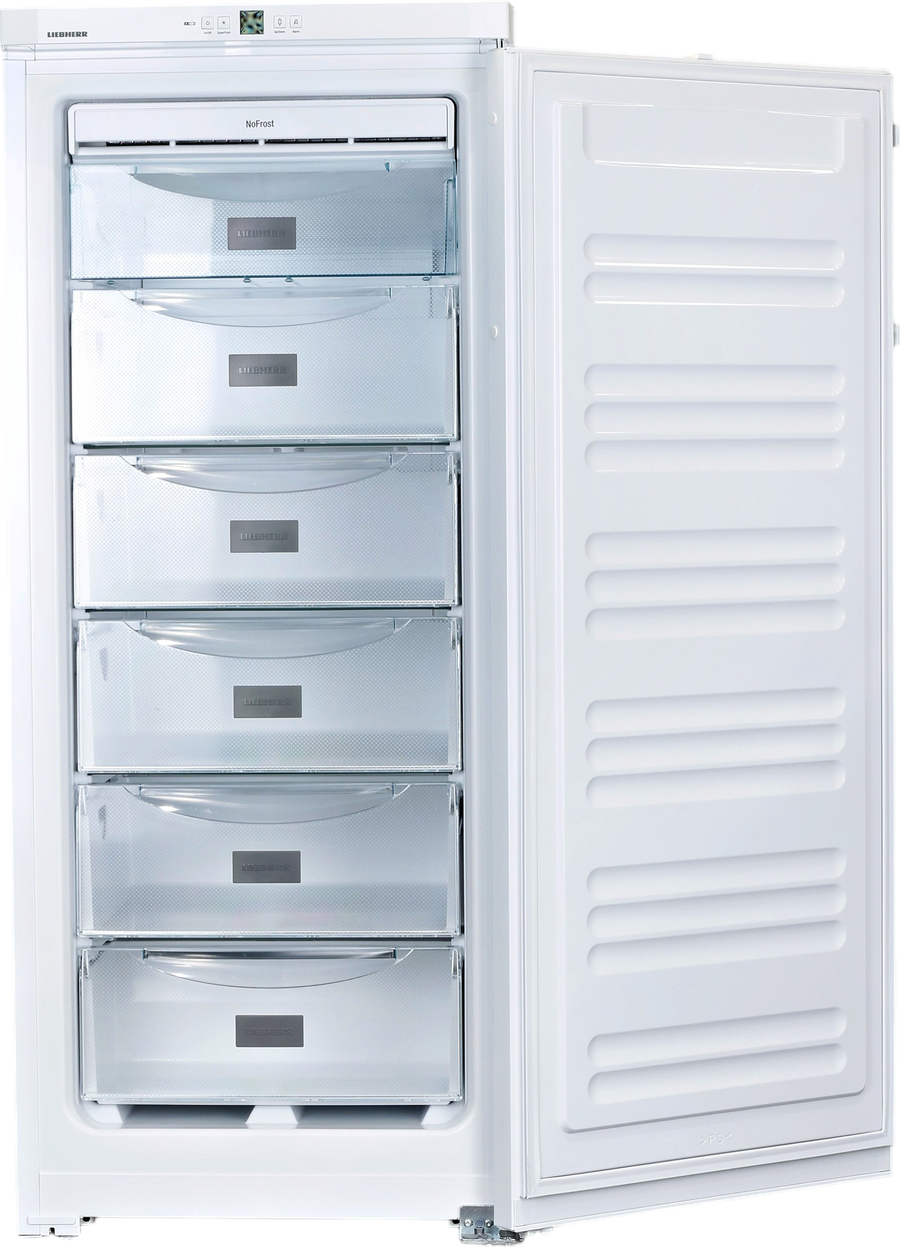 Congélateur Armoire Reconditionné LIEBHERR GKN230