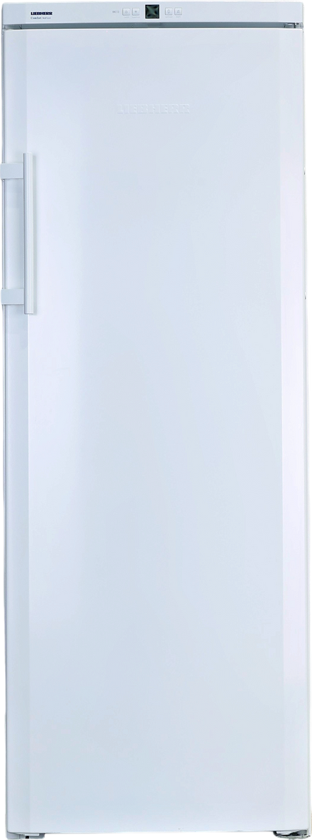 Congélateur Armoire 221 Litres Reconditionné LIEBHERR GNP2713