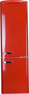 Réfrigérateur Avec Congélateur 244 Litres Reconditionné FRIGELUX CB255RRA++