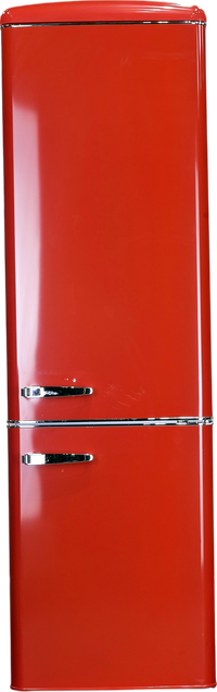 Réfrigérateur Avec Congélateur 244 Litres Reconditionné FRIGELUX CB255RRA++