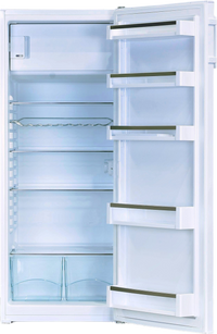 Réfrigérateur Avec Congélateur 251 Litres Reconditionné LIEBHERR KPe290-26