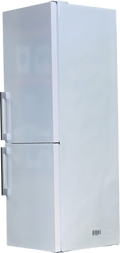 Réfrigérateur Avec Congélateur 326 Litres Reconditionné ASKO RFN23841W