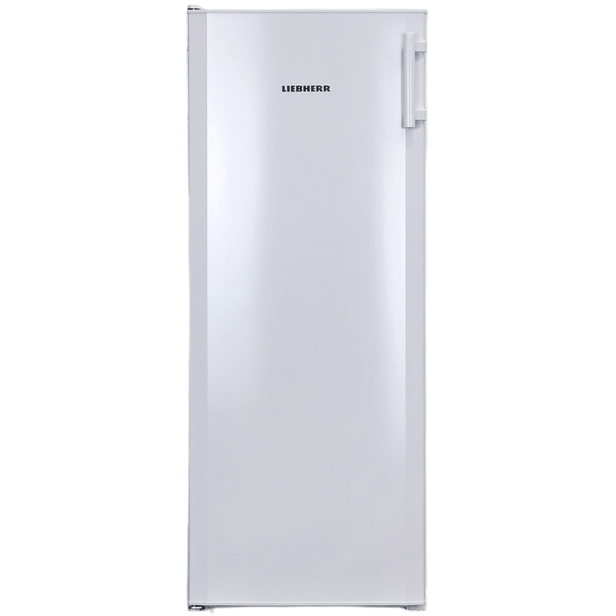 Réfrigérateur Avec Congélateur 251 Litres Reconditionné LIEBHERR KPe290-26