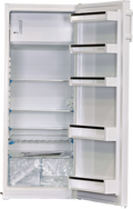 Réfrigérateur Avec Congélateur 251 Litres Reconditionné LIEBHERR KPe290-26