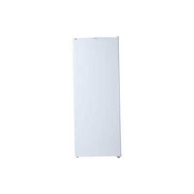 Congélateur armoire PROLINE ufz167