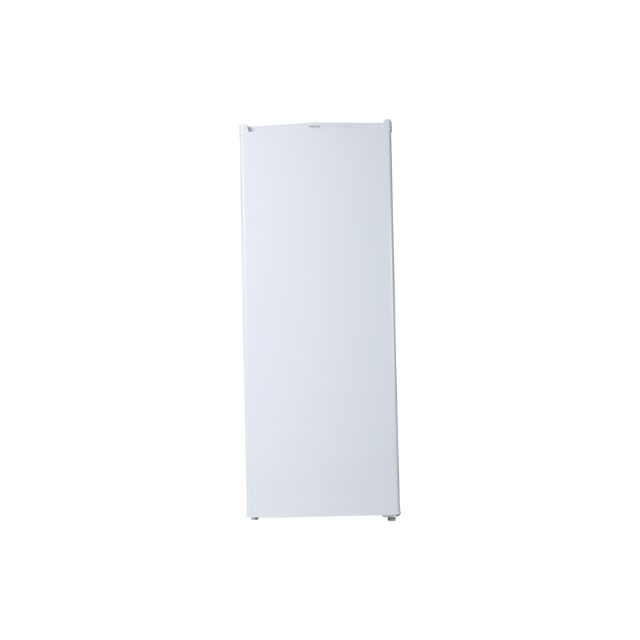 Congélateur armoire PROLINE ufz167