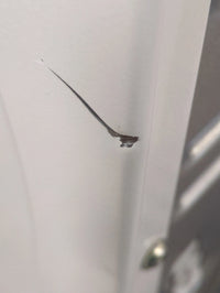 Seche-Linge Condensation 8 kg Reconditionné SIEMENS WP31G206FG : détails