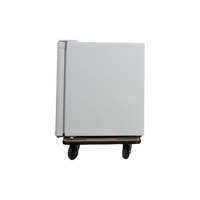Réfrigérateur Compact 41 L Reconditionné DOMO DO906K/03 : vue du côté droit