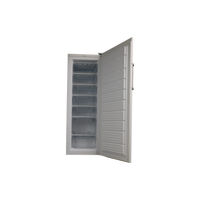 Congélateur Armoire 225 L Reconditionné CANDY CCOUS6172WH : vue de l'intérieur